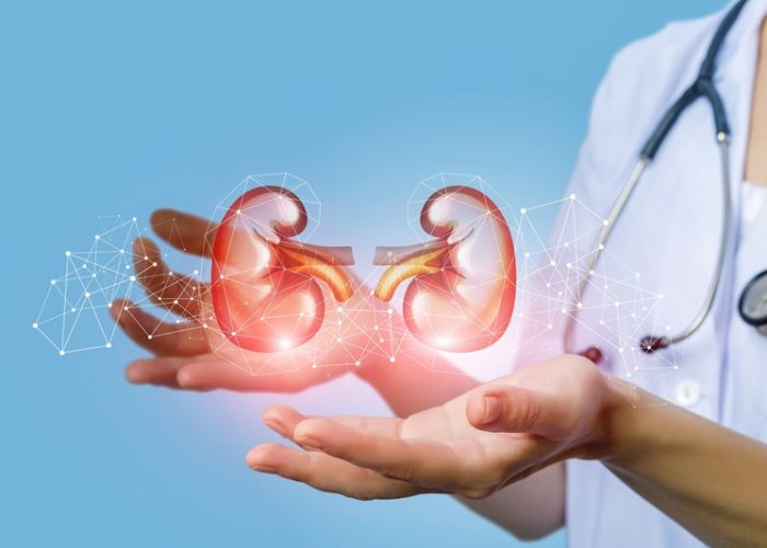 Böbrekleri neler yıpratır!