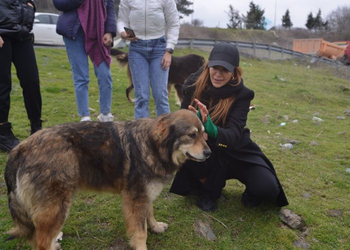 Sokak hayvanlarını besledi