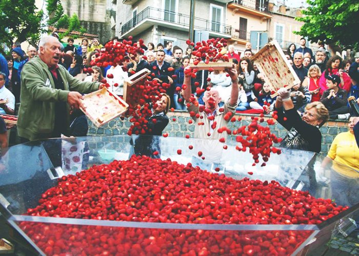 Nemi Çilek Festivali