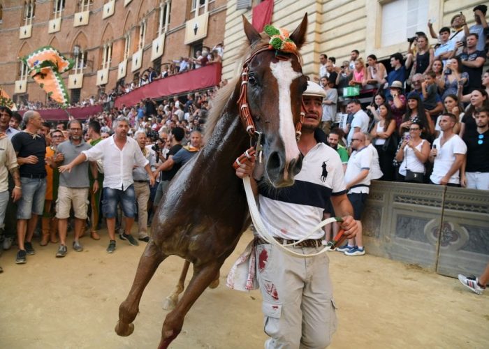 Palio di Provenzano Festivali