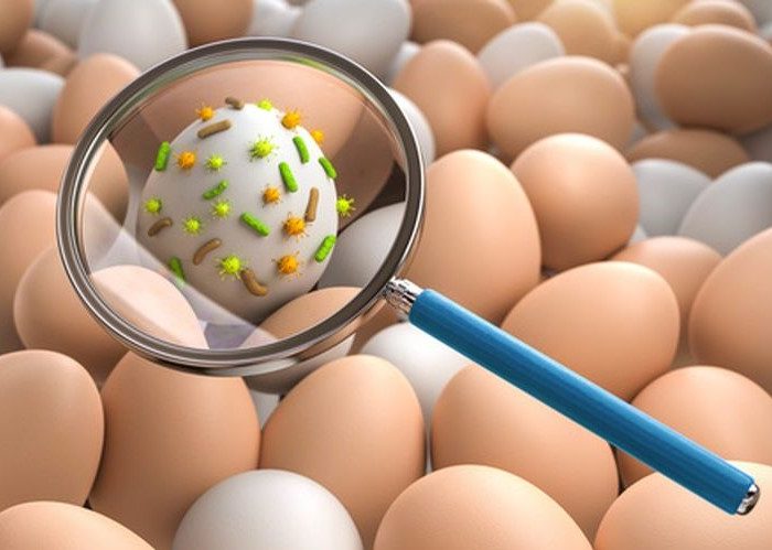 Çocuklarda salmonellaya dikkat!