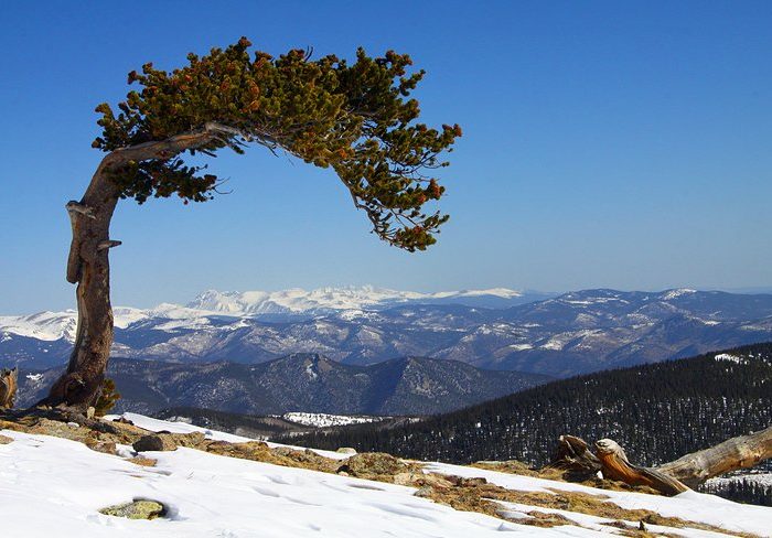 Macera ve doğayı sevenler için ilginç deneyim “Colorado”