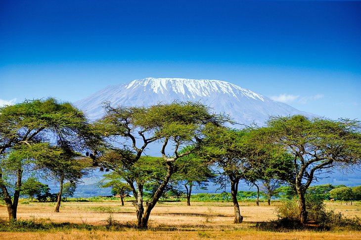Kenya'nın en popüler turistik yerleri