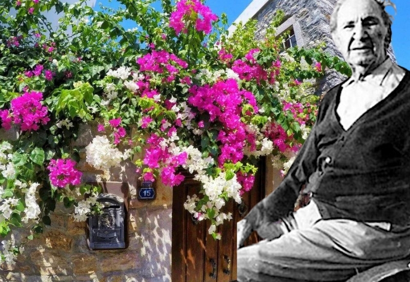Begonvil Bodrum’a nasıl geldi