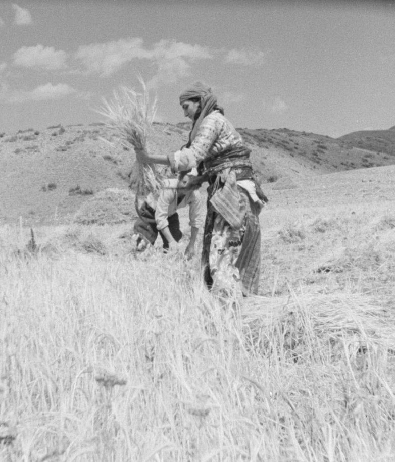 “Karanlık Dünya”