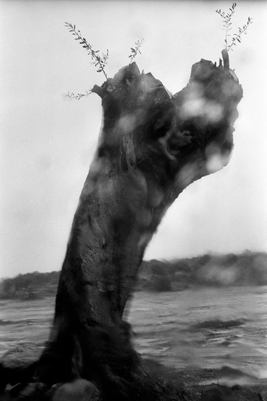 Art Rooms’da Kıbrıs’ın Gündelik Katmanları