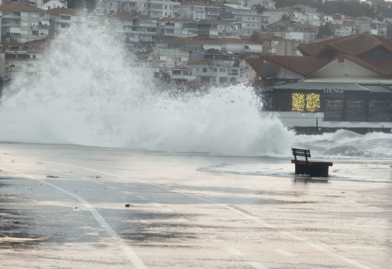 Potasyumdan Zengin Besinler Ödemi Azaltıyor